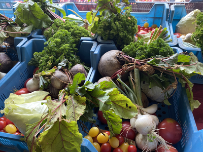 Des paniers de légumes en circuit court, ça vous dit ? Des paniers de légumes en circuit court, ça vous dit ?